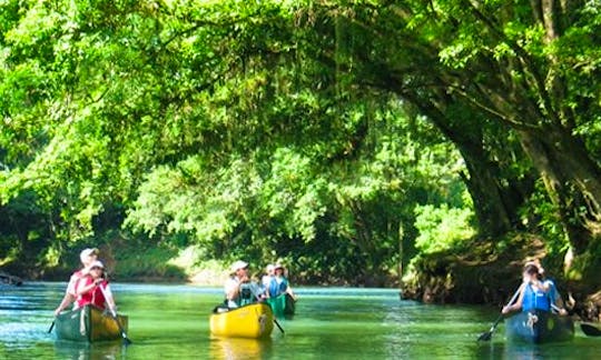 Safari Float by Canoe along the Rio Peñas Blancas
