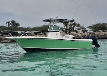Snorkel and cruise with 24-foot Robalo center console