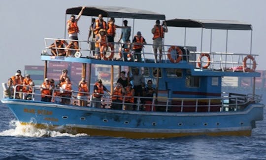 Whale Watching Boat in Weligama /  Mirissa