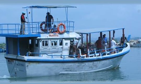 Whale Watching Boat in Weligama /  Mirissa