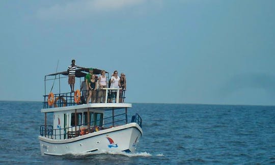 Whale Watching Boat in Weligama /  Mirissa