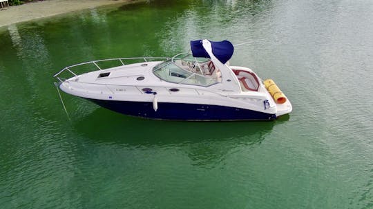 Yacht à moteur Sea Ray de luxe de 32 pieds