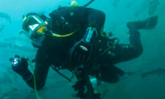 Diving Charter in Northern Ireland