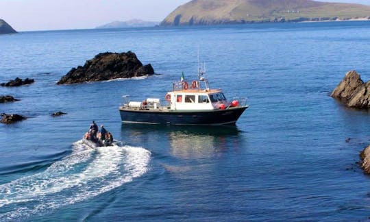 Marine Boat Tours on Blasket Islands from Dingle Bay