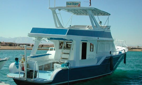 Dive Boat Charter in Egypt