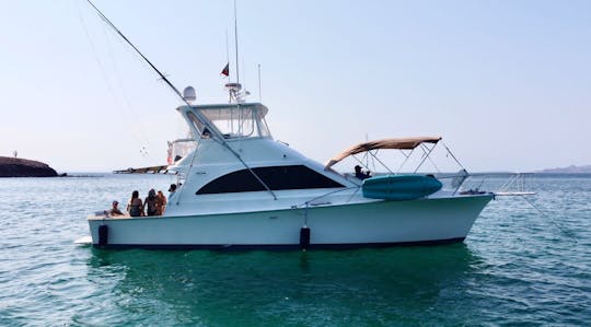 Luxury and Comfort together at the Ocean 44ft Yacht & Sportfishing