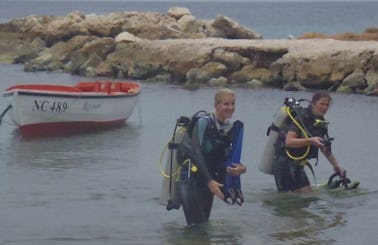 Diving Courses & Boat Dives in Curacao