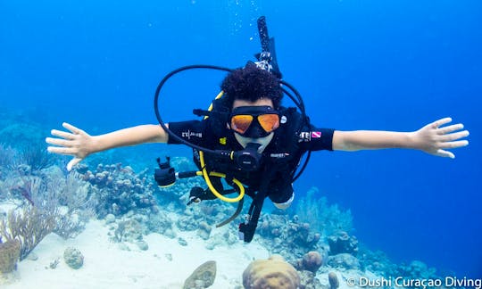 Diving Courses & Boat Dives in Curacao