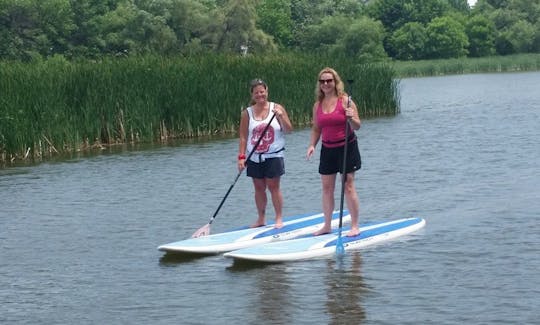 Alquiler de tablas de remo y clases de surf en Oakville