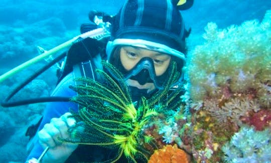 Scuba Diving Tours & Packages to Green Island, Taiwan