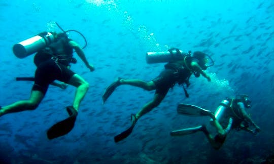 Dive Boat Charter in Indonesia