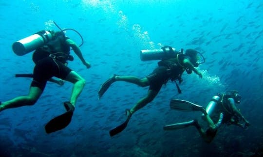 Dive Boat Charter in Indonesia