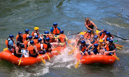 Whitewater Rafting on Yellowstone River in Montana