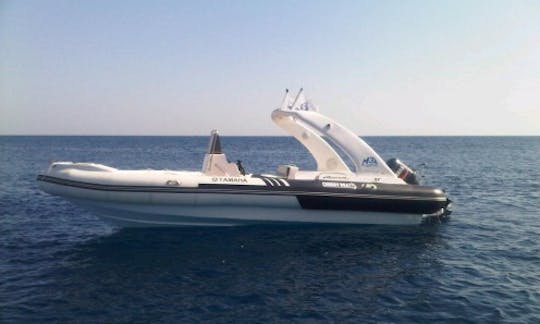 Private Speed Boat Adventure Trip in Sharm El Sheikh