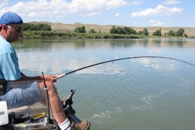 Guided Sturgeon Fishing Trips in Medicine Hat Alberta, Canada