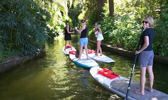 SUP Rentals, Tours, and Lessons in Orlando