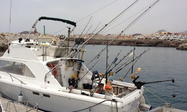 Sport Fisherman Rental in Miguel de Abona