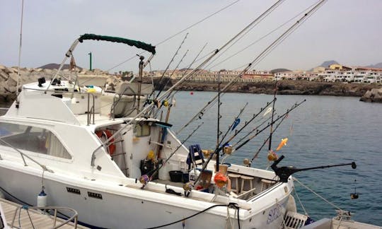 Sport Fisherman Rental in Miguel de Abona