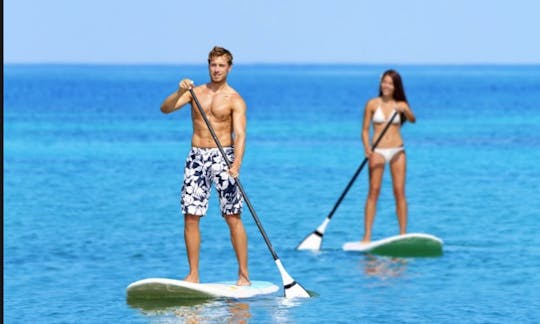 Paddleboard Rental in San Bartolome De Tirajana (Gran Canaria)