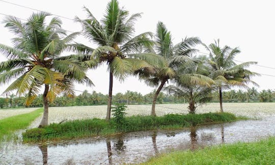 Explore the water in Style: Exclusive Houseboat Adventure in Alleppey, Kerala!