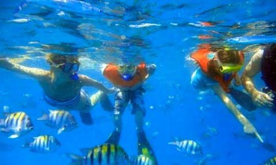 Snorkeling Charters in Barbados