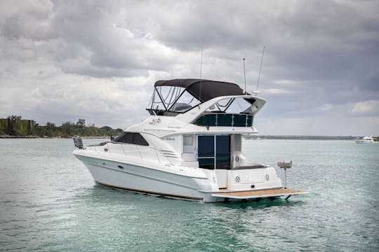 42ft Sea Ray Motor Yacht Rental in Boca Chica, Santo Domingo