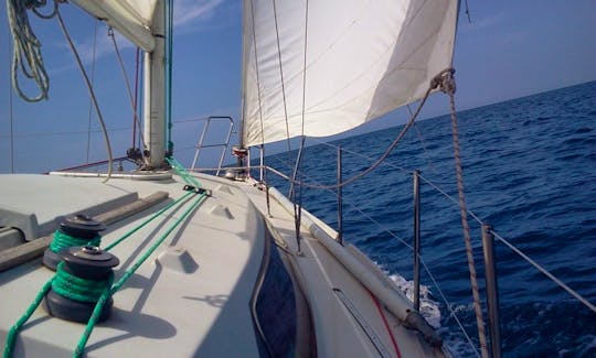 Sailing Yacht Charter in Livorno