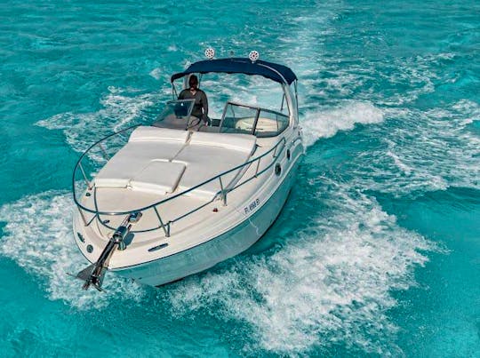 Pretty 32ft Sea Ray Sundancer Yacht in Cancun 