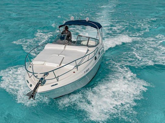 Bonito yate Sea Ray Sundancer de 32 pies en Cancún 