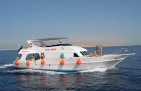 Sunflower, the 77' Divers Yacht Charter in Egypt