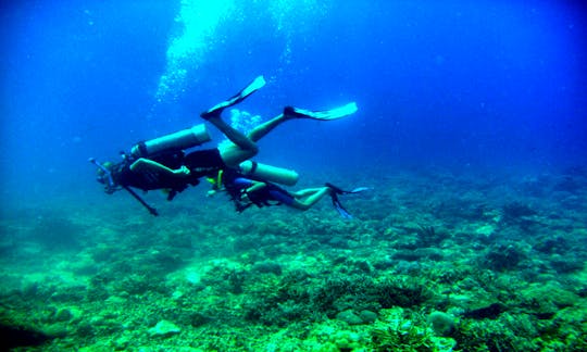 Diving Charter on Havelock Island