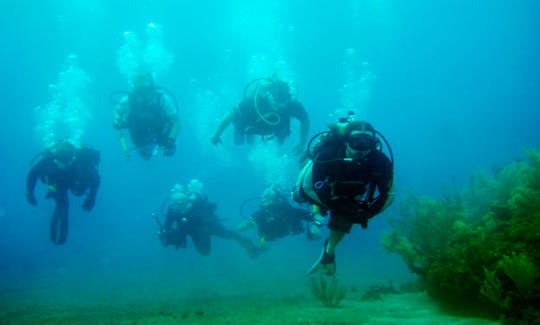 Diving Charter on Havelock Island