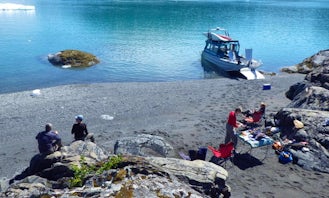 Boat Charter & Guided Kayak Expedition in Prince William Sound, Alaska