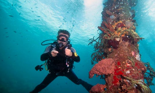 Diving and Snorkeling Charter in Dominica