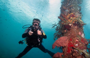 Diving and Snorkeling Charter in Dominica