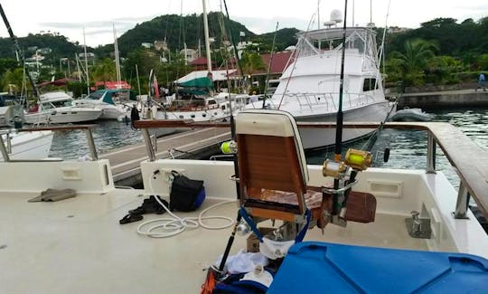 31' Sport Fisher Yacht Charter in Grenada