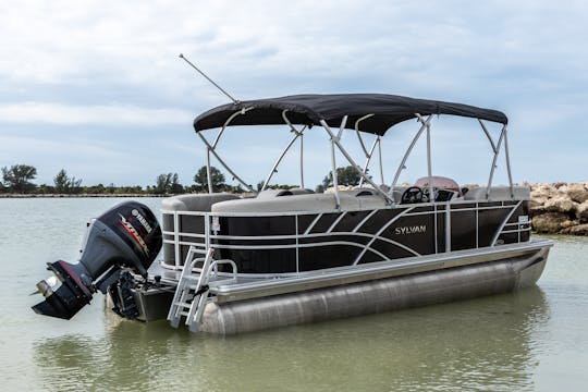 Brand New Spacious, Clean and Comfortable Affordable Luxury Tritoon for 12 