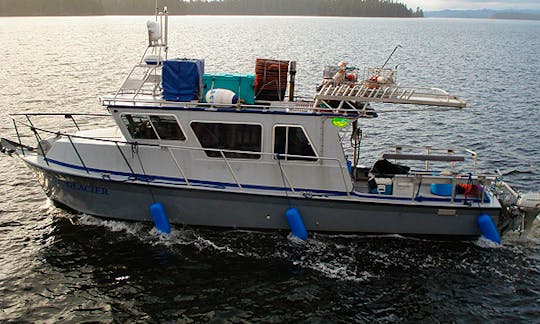 38' Sport Fisherman Charter in Klawock, Alaska