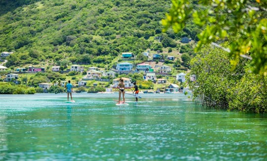 Aluguel de pranchas de remo em Grenadines