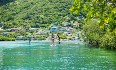 Location de paddleboard aux Grenadines