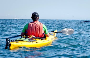 Single Touring Kayak for Rent in New Brunswick & Newfoundland
