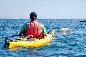 Single Touring Kayak for Rent in New Brunswick & Newfoundland