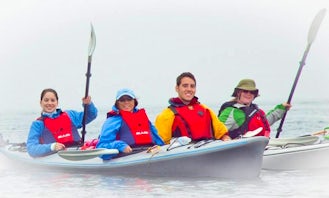 Double Touring Kayak Rental in New Brunswick and Newfoundland