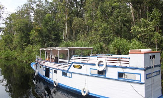 Kalimantan Explorer Charter in Indonesia