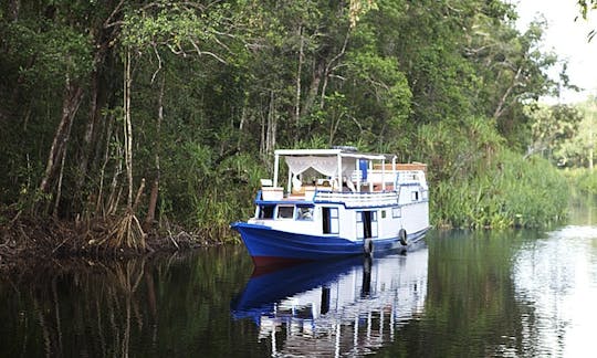 Kalimantan Explorer Charter in Indonesia