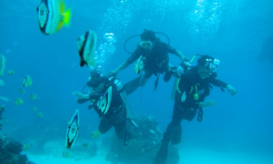 Scuba Diving Trip in Klungkung
