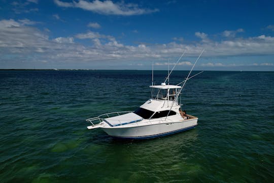   #1 CHARTER IN KEY LARGO!! sandbar trips,  island hopping, reef tours.’!