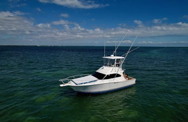   #1 CHARTER IN KEY LARGO . sandbar party’s , snorkeling , cruising , and more !