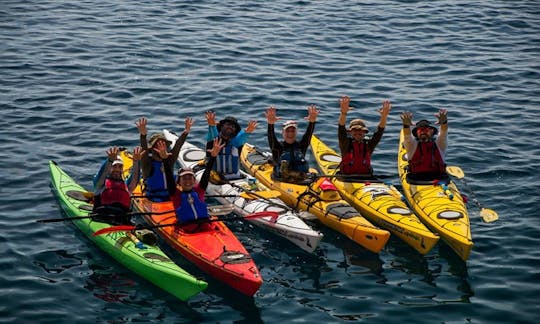 Location de kayak à Kardamili