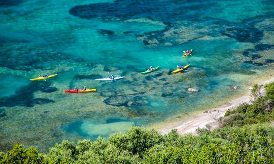 Sea kayak in Navarino